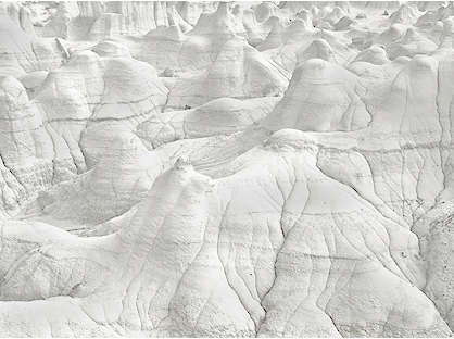 Bisti Portfolio