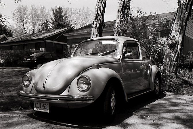 Black and White Punch Buggy, no punchbacks