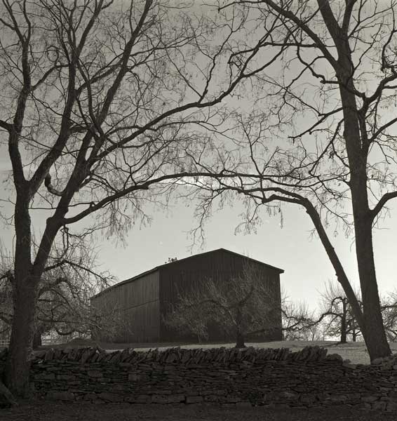 Black Barn