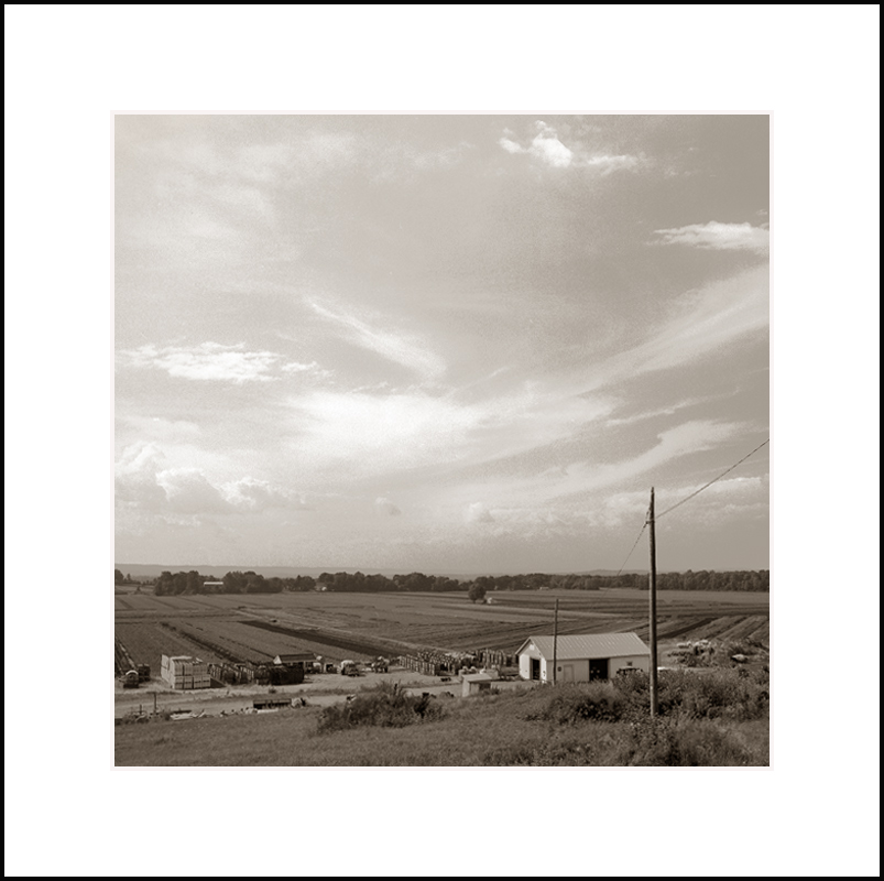 Black Dirt Farm and Sky