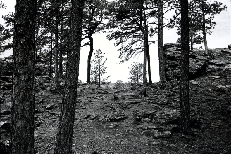 Black Hills, SD - 1