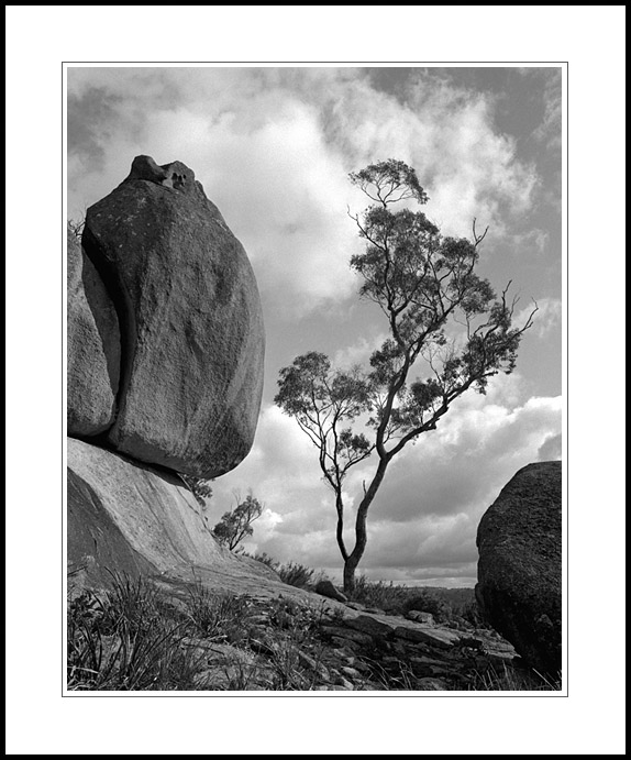Black Mountain, NSW