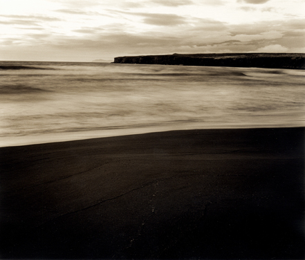 black tide lines
