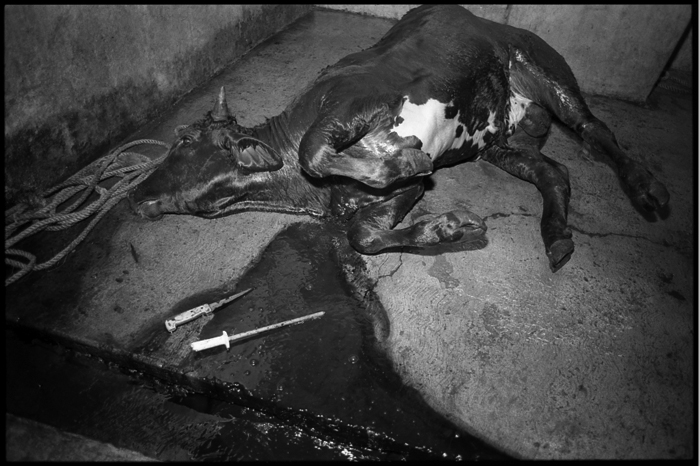 bleeding to death