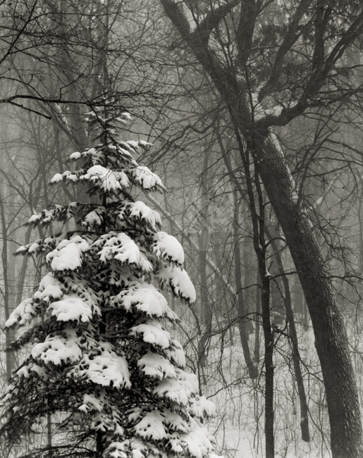 Blizzard shots