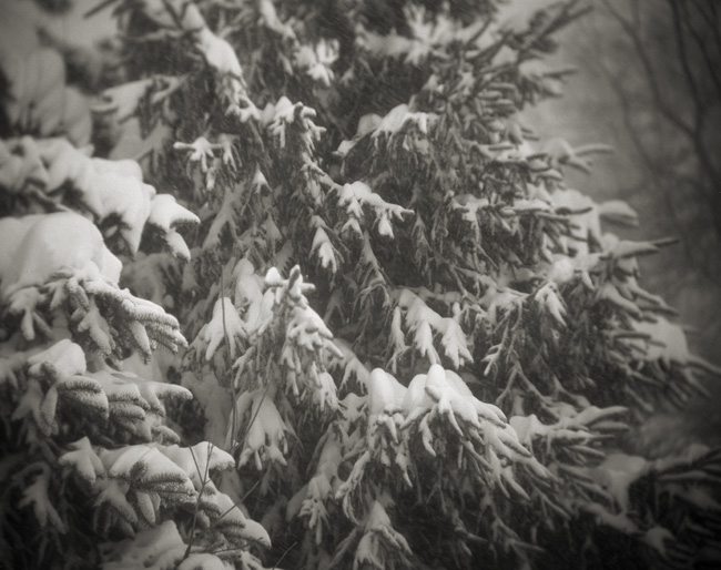 Blizzard shots