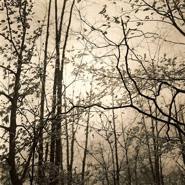 Bloomington, Indiana