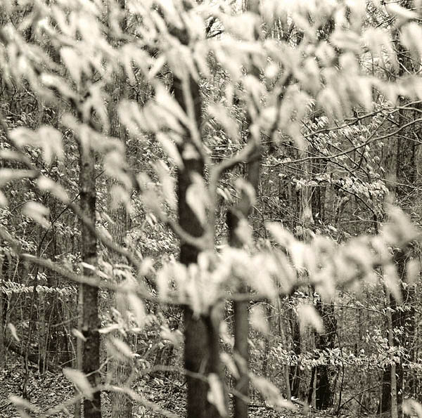 Bloomington, Indiana