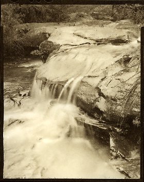Blue Mountains Stream - Vandyke