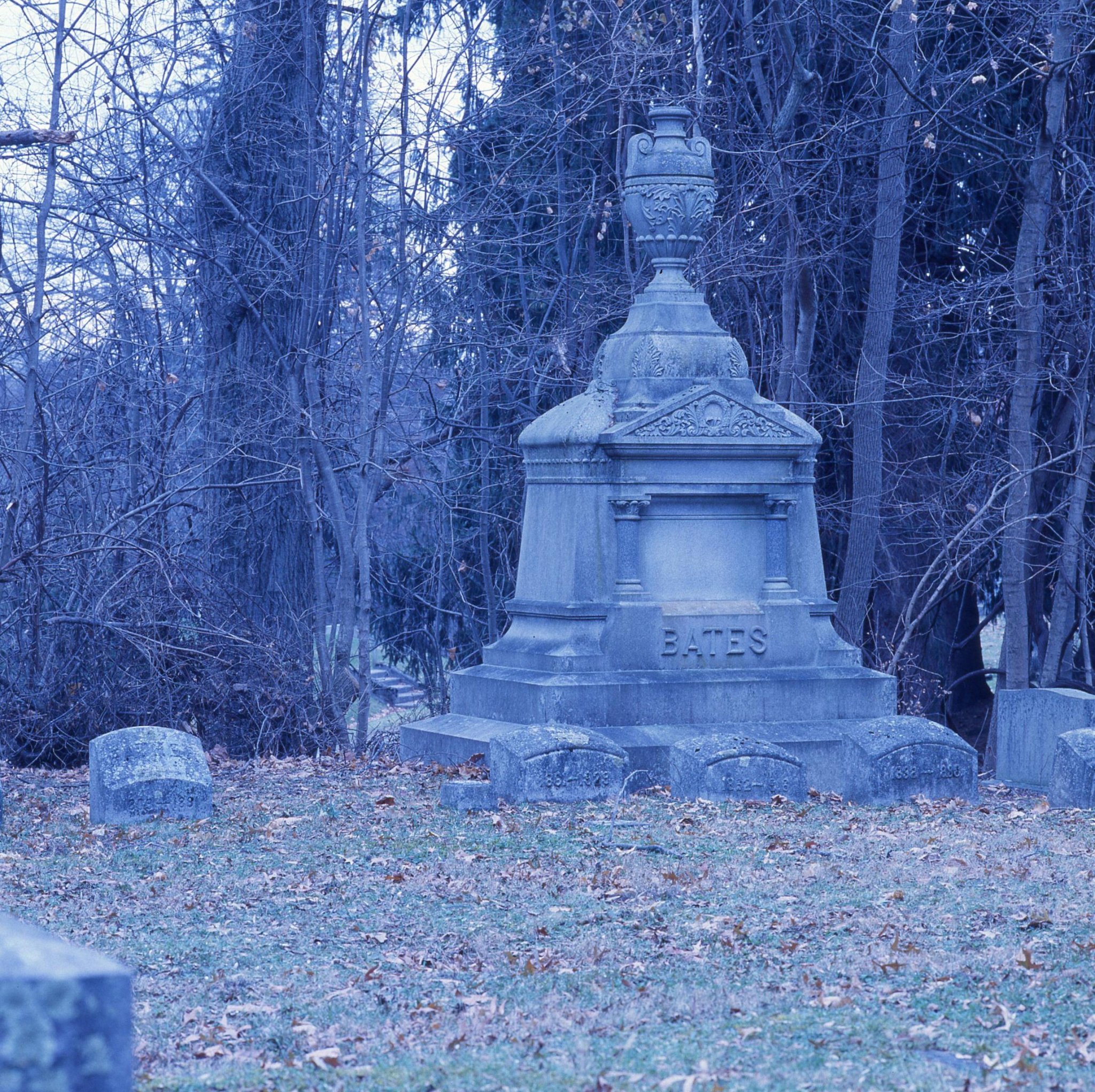 Blue Stones #1 . . . Expired Ektachrome 64 T
