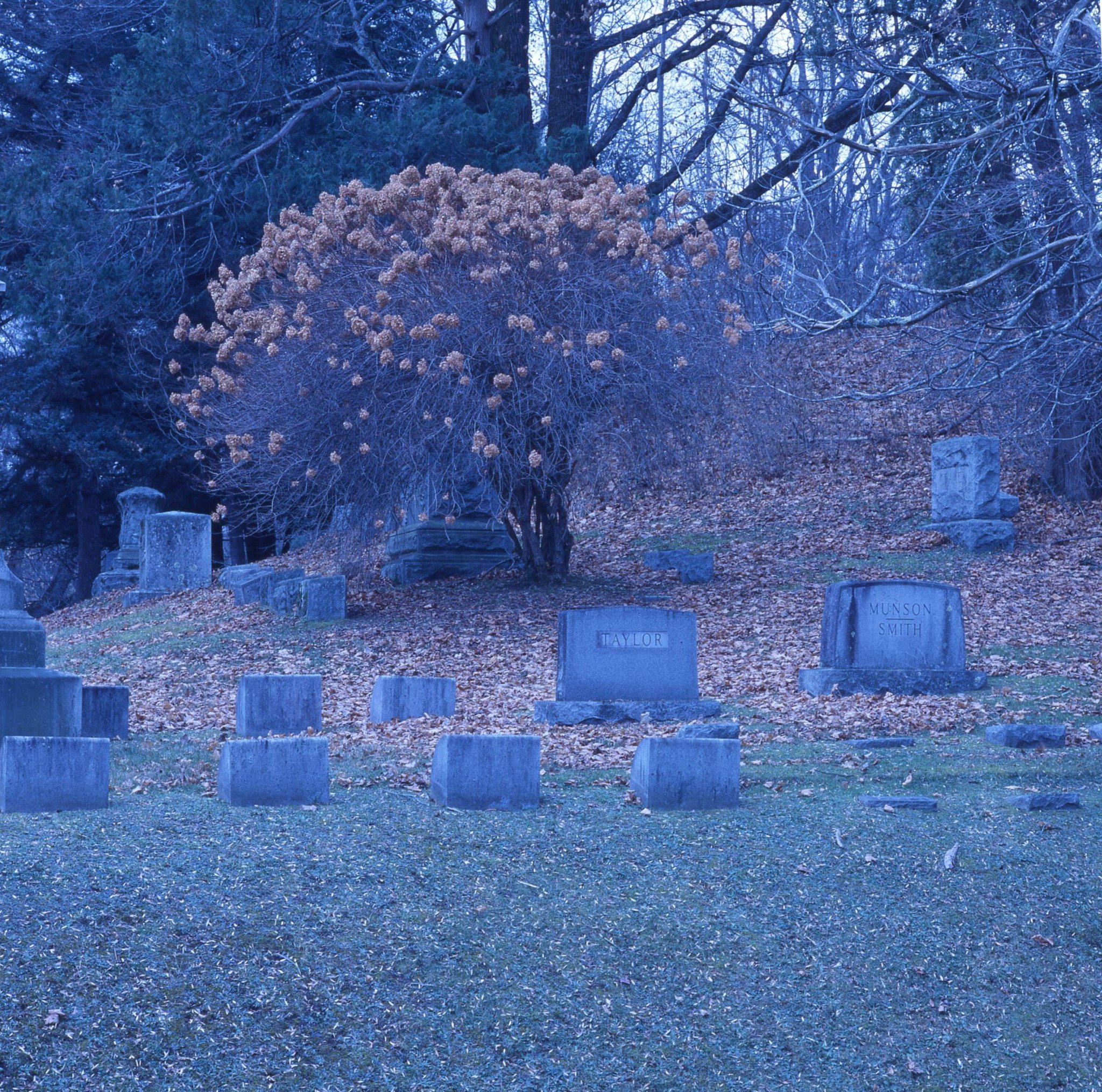 Blue Stones #2 . . . Expired Ektachrome 64 T