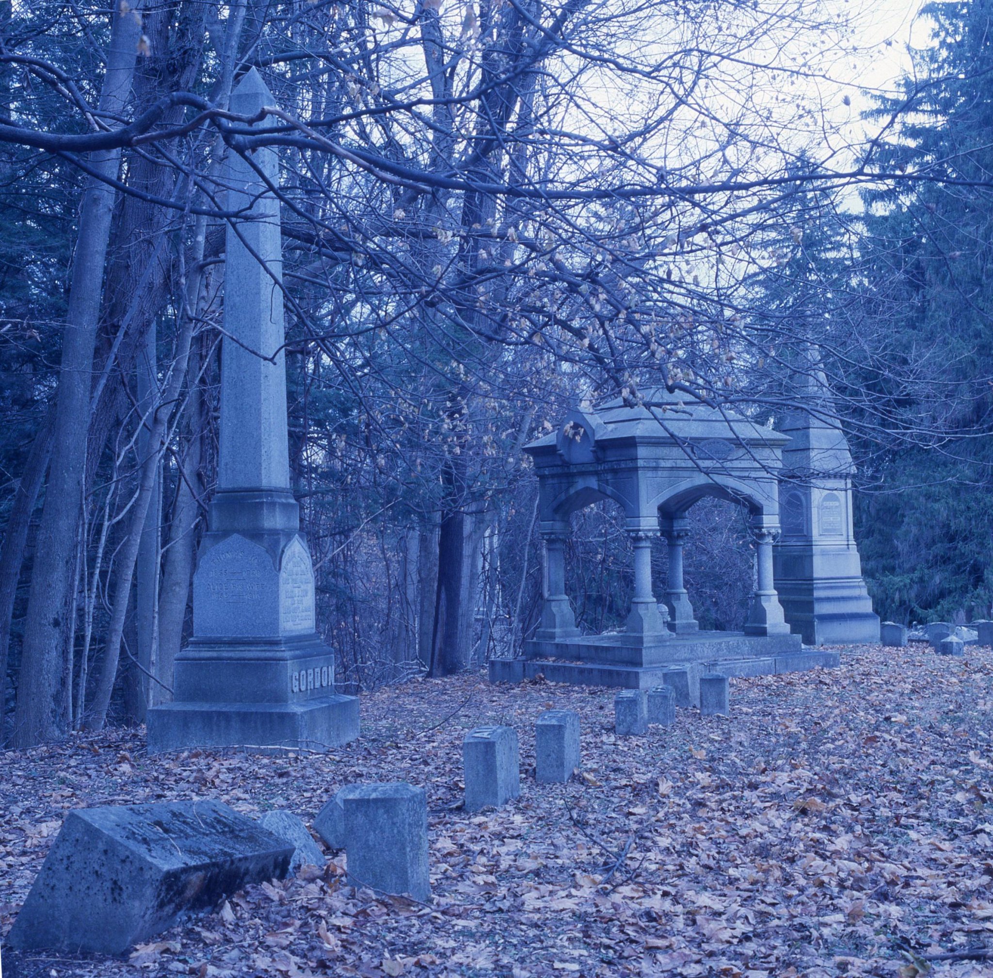 Blue Stones #3 . . .Expired Ektachrome 64 T