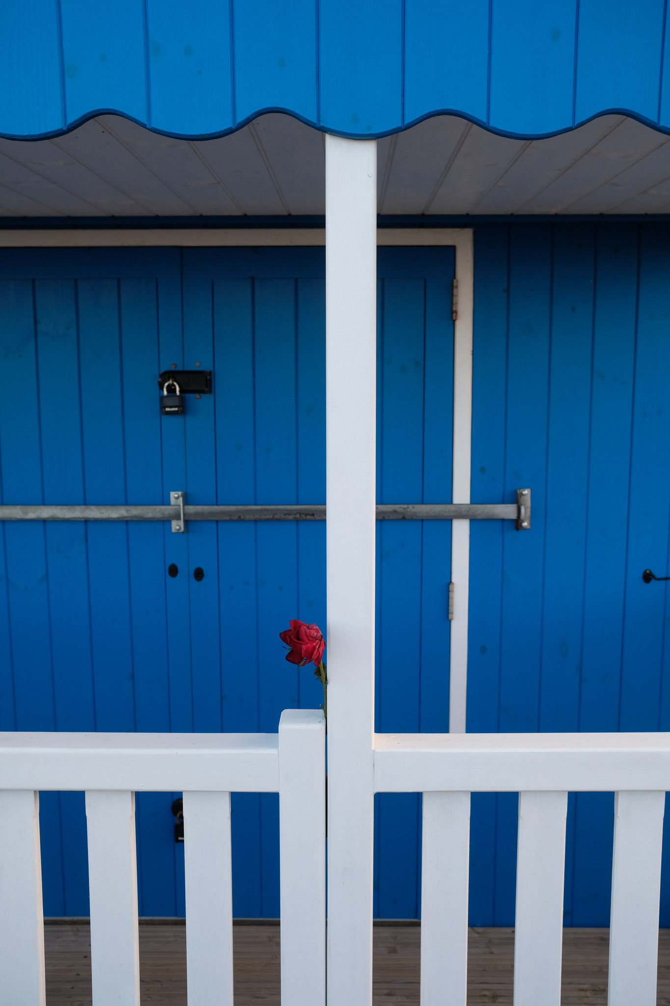 Blue, white, and red.