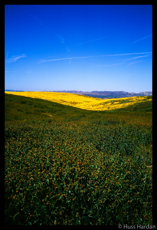 Blue, Yellow, Green