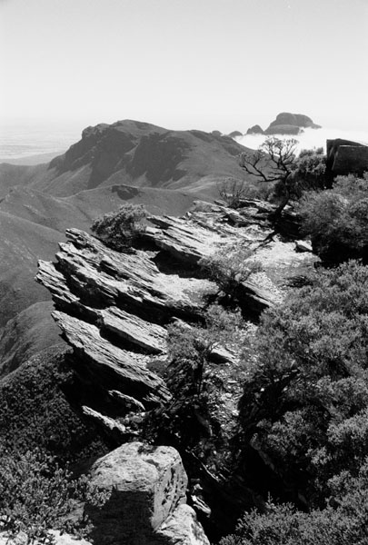 Bluff Knoll