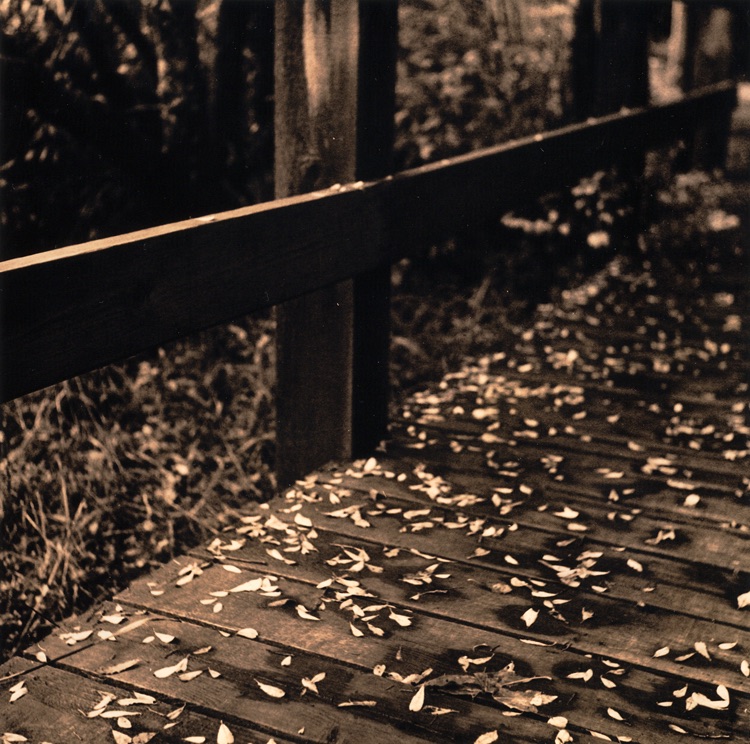 Boardwalk, Bowen Park