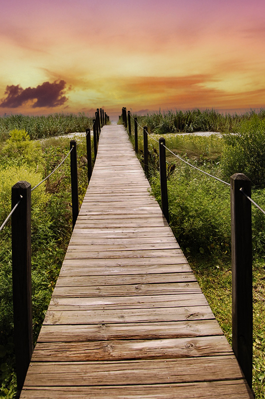 Boardwalk to Beach