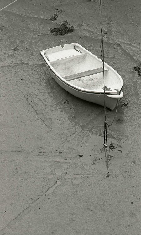 Boat in harbour