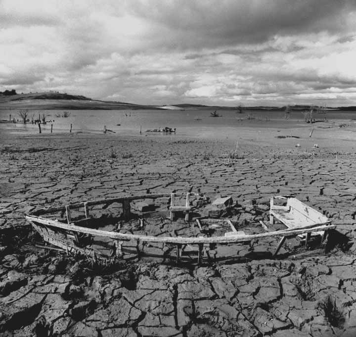 boat skeleton
