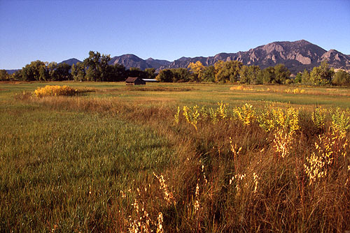 Bobolink Open Space