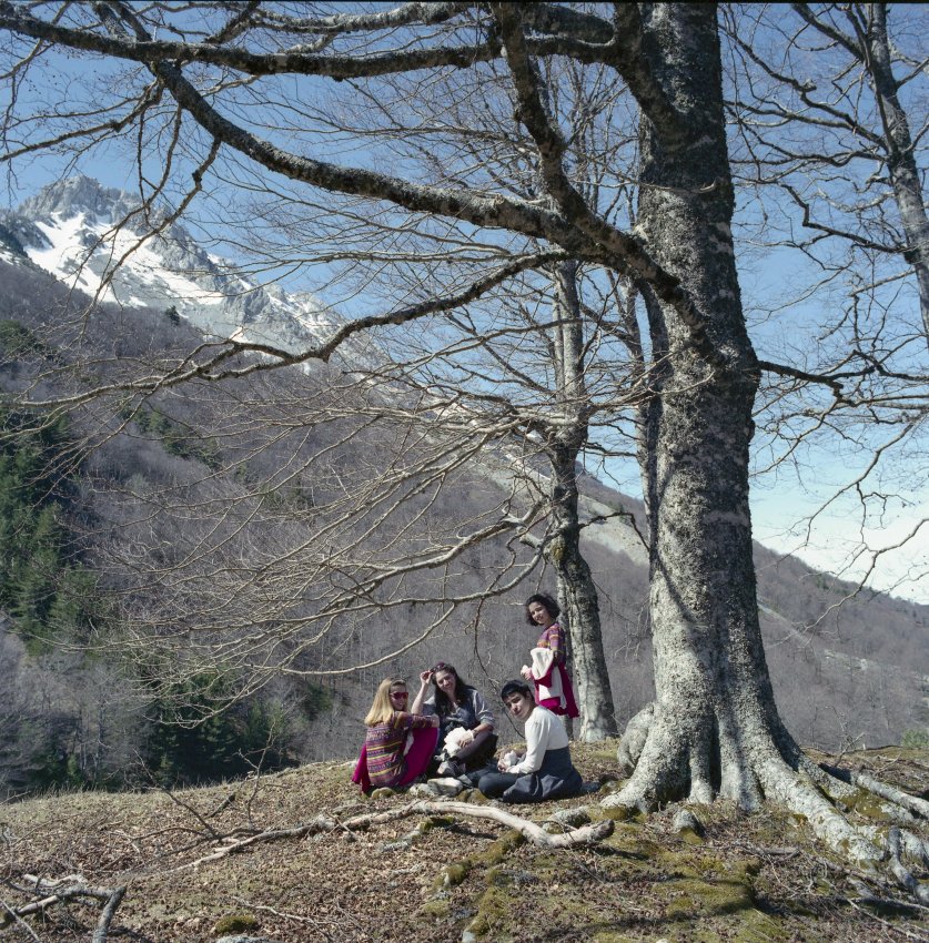 "bocata"