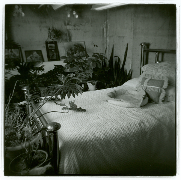 Bodhi's Bed