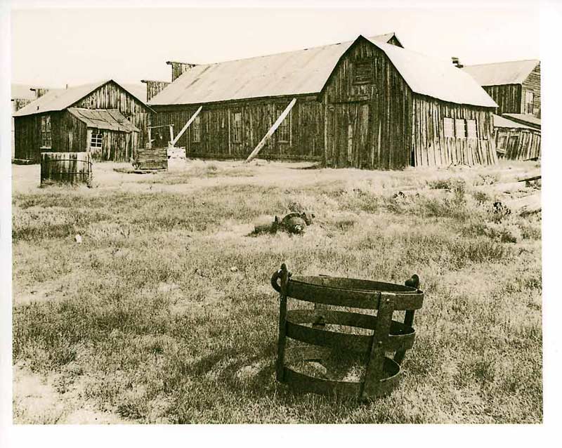 Bodie in Lith (again)