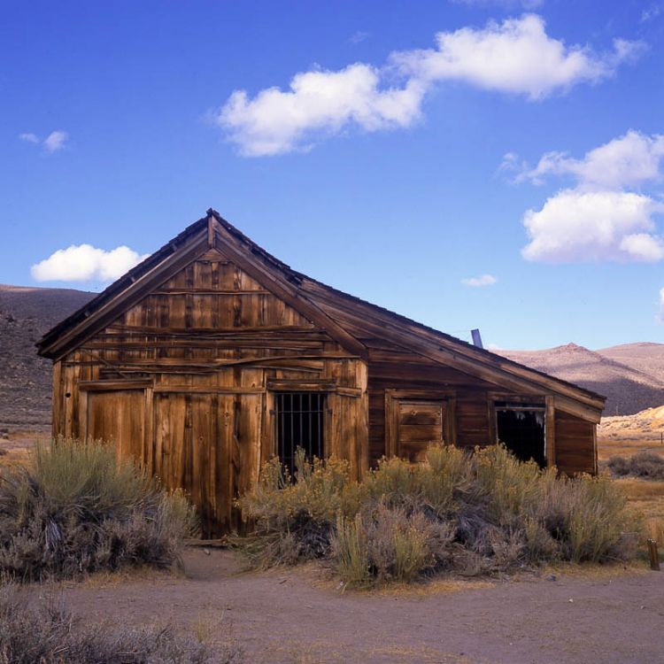 Bodie