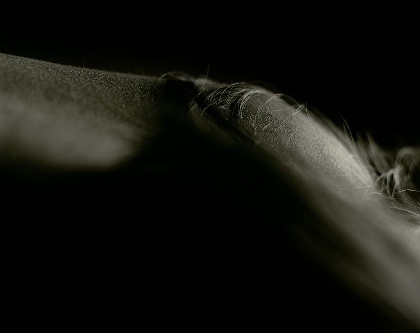Body Landscape #2