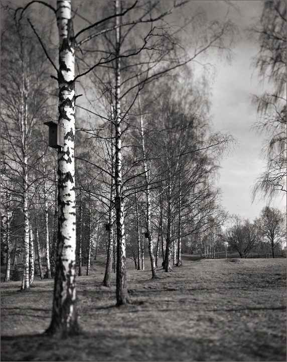 Bogstad Golf Course