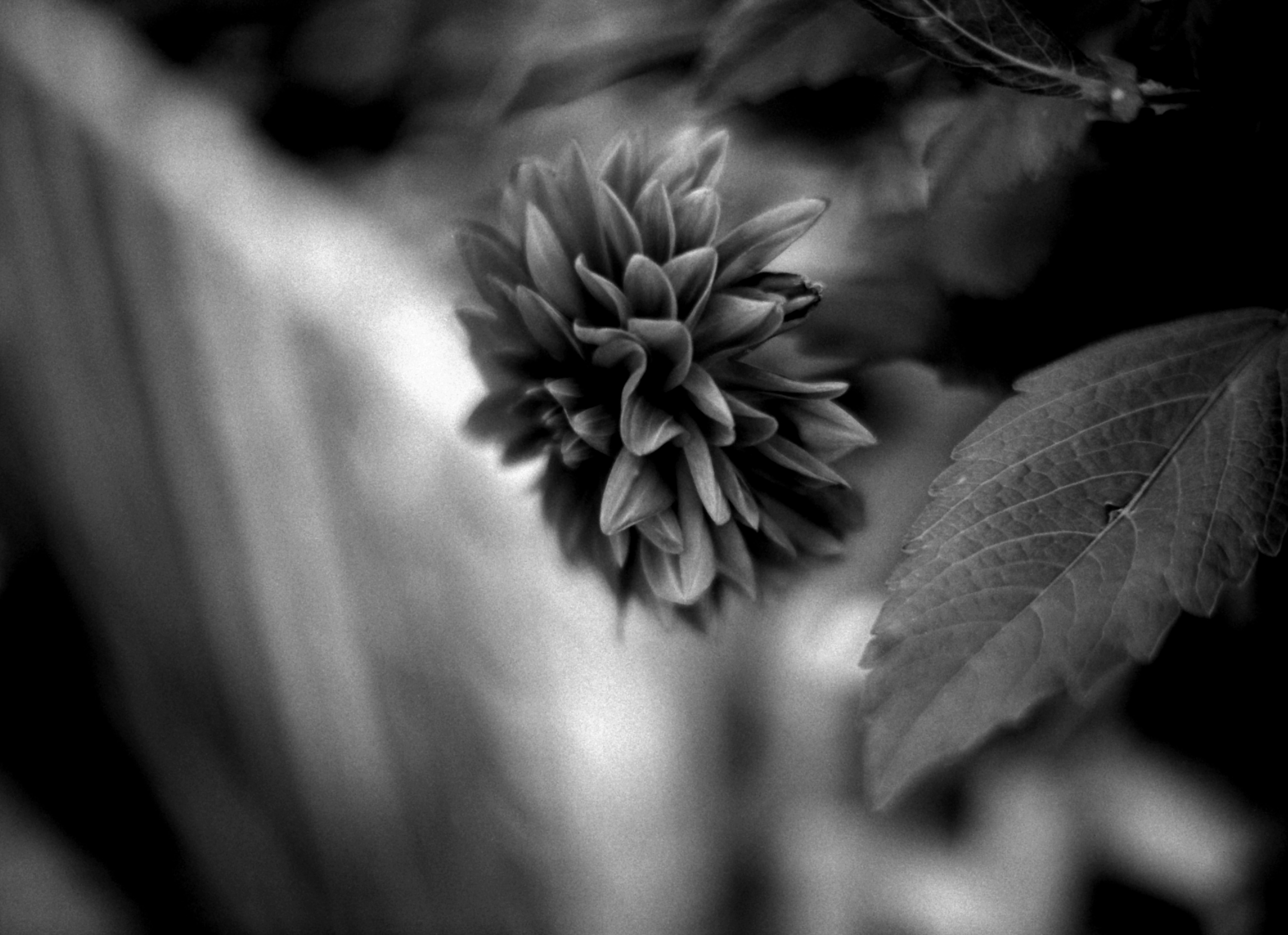 Bokeh check