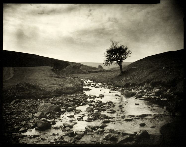 Bolli Hope Burn