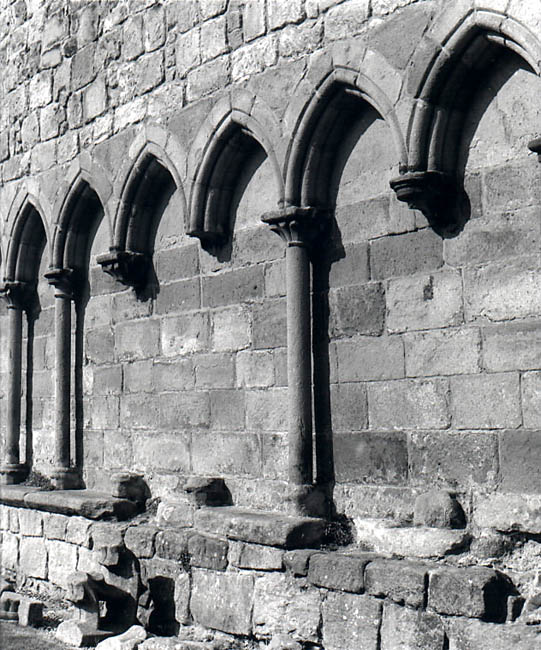 Bolton Abbey Detail