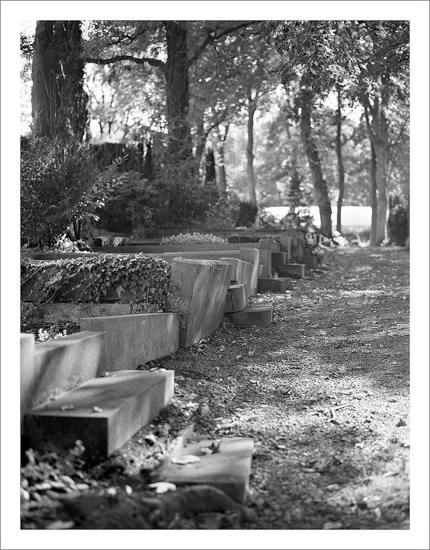 boneyard
