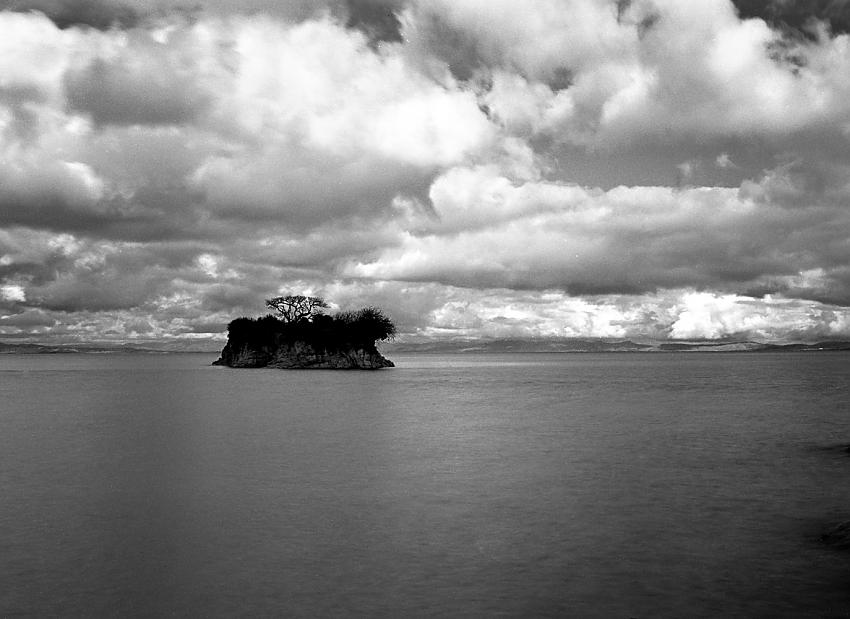 Bonsai Island, China Camp State Park