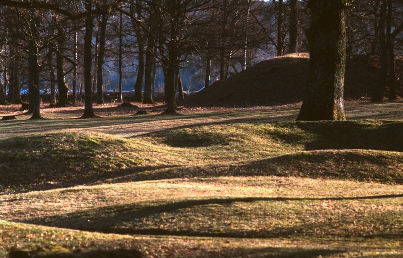 Borre-Viking graves