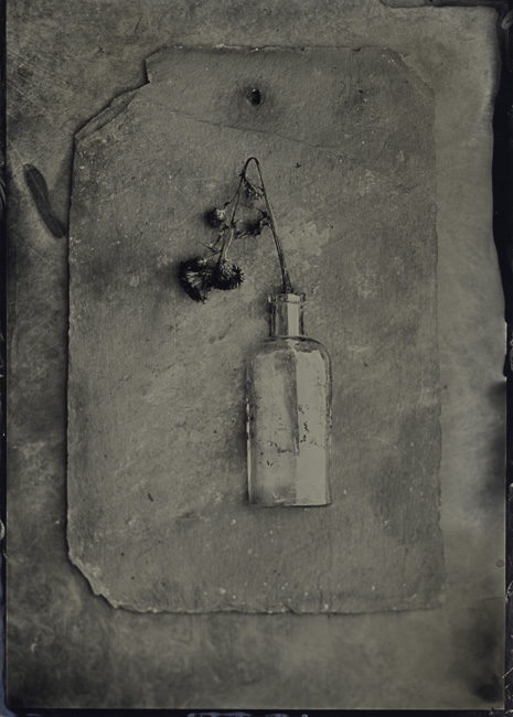Bottle and Thistle