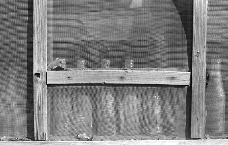 bottle