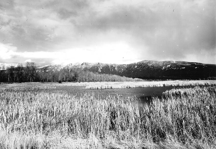 Boundary Creek WMA