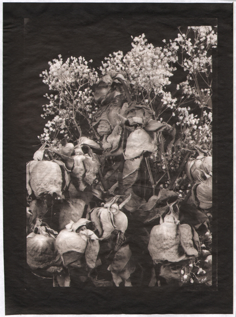Bouquet on Gampi