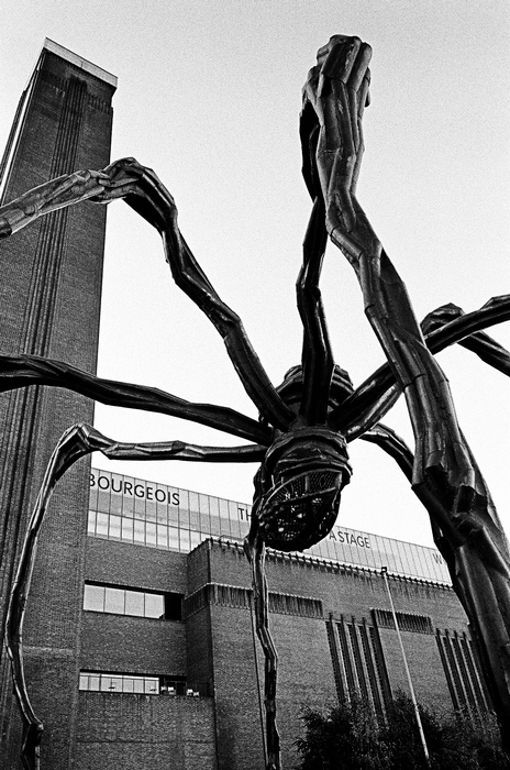Bourgeois' Spider