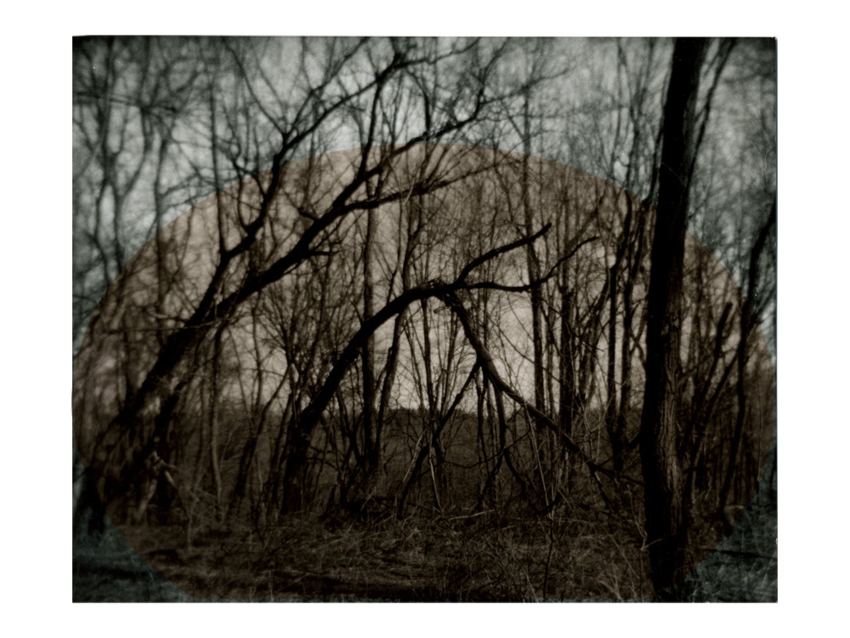 Bowing Tree Sepiacut