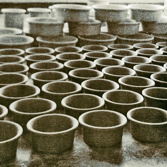 bowls
