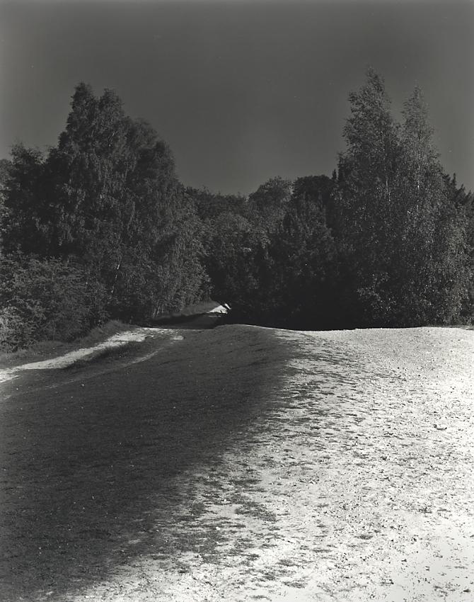 Box Hill