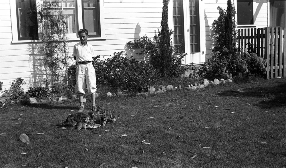 Boy and cats, 1920's.jpg