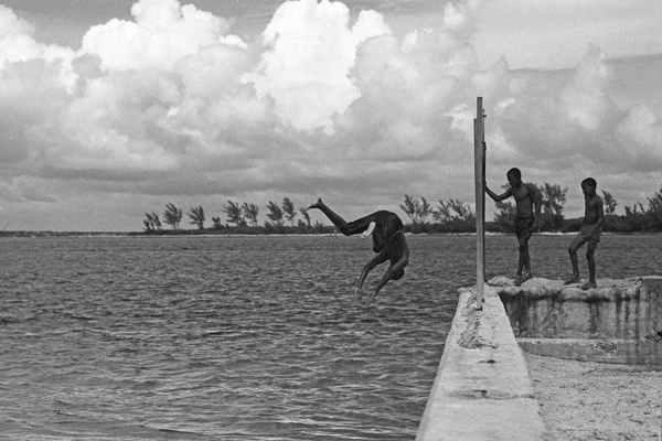 Boys Diving