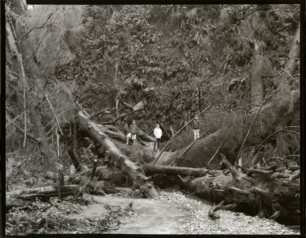 Boys, Fern Canyon