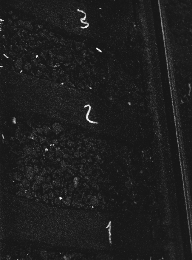 BPX25_Rails_20170521_APUG