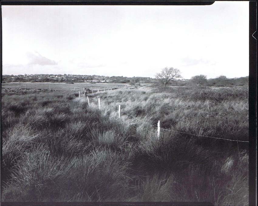 Brading Marsh