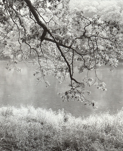 Branch, Clarion River